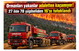 Ormanları yakanlar adaletten kaçamıyor! 27 ilde...