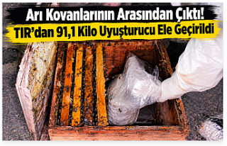 Arı Kovanlarının Arasından Çıktı! TIR’dan...
