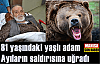 Yaşlı adam ayıların saldırısına uğradı