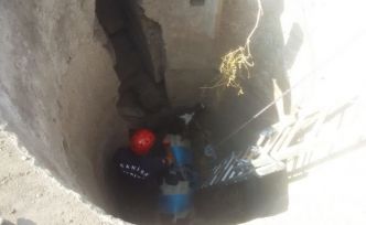 İtfaiyeciler her canlıya yaşama hakkı veriyor