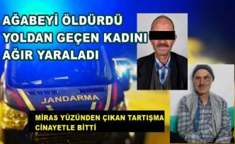 Miras yüzünden ağabeyini öldürdü, 1 kişiyi de yaraladı! Cezaevine girdi