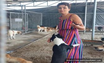 Turgutlu’da Kedi Katliamı! "Adalet Neredesin?"
