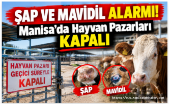 Şap ve Mavidil Alarmı! Manisa’da Hayvan Pazarları Kapalı