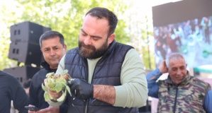 Urla Enginar Festivali’nde Büyük Coşku