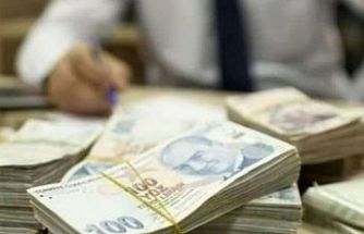 Amme Alacakları'nda teminatsız taksitlendirme sınırı 250 bin TL'ye çıktı