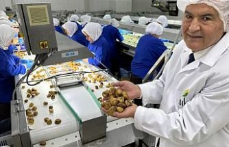 Kuru meyve sektöründe 12 şampiyonun 11’i Egeli