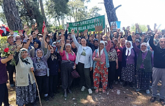 Danıştay’dan Akbelen Kararı: Acele Kamulaştırmaya Yürütmeyi Durdurma