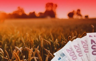 TMO’dan üreticiye 4,5 milyar TL'lik ödeme