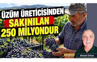 ÜZÜM ÜRETİCİSİNDEN SAKINILAN 250 MİLYONDUR / Ahmet Orhan Yazdı...