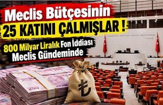 “Meclis Bütçesinin 25 Katını Çalmışlar!” 800 Milyar Liralık Fon İddiası Meclis Gündeminde