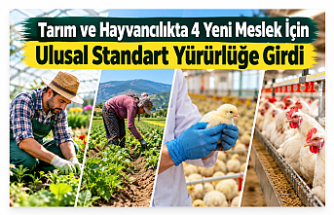 Tarım ve Hayvancılıkta 4 Yeni Meslek İçin Ulusal Standart Yürürlüğe Girdi