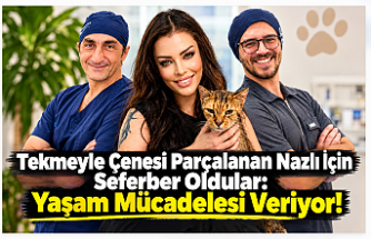 Tekmeyle Çenesi Parçalanan Nazlı İçin Seferber Oldular: Yaşam Mücadelesi Veriyor!
