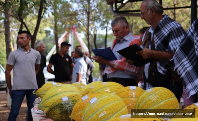 KIRKAĞAÇ’TA 46. KAVUN FESTİVALİ RENKLİ GEÇTİ: EN İYİ KAVUNLAR ÖDÜLLENDİRİLDİ