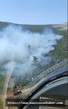 Soma ve Soğukdere’de Orman Yangınları Korkuttu! Müdahale Havadan ve Karadan!