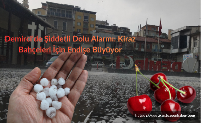 Demirci’de Şiddetli Dolu Alarmı: Kiraz Bahçeleri İçin Endişe Büyüyor