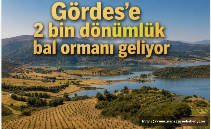 Gördes'e 2 bin dönümlük bal ormanı geliyor