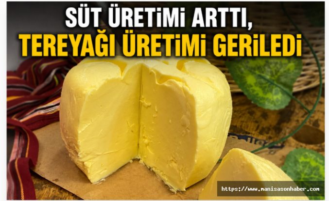 Süt Toplama Arttı, Tereyağı Üretimi Geriledi