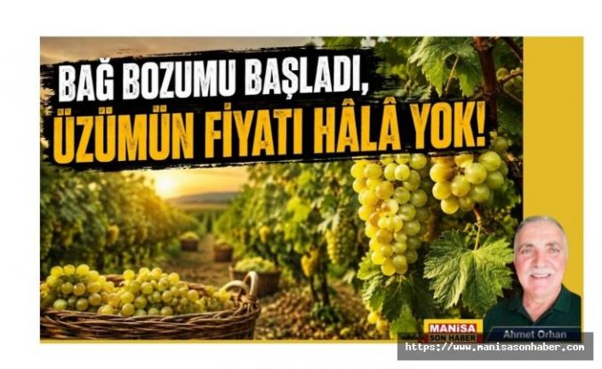 BAĞ BOZUMU BAŞLADI, ÜZÜMÜN FİYATI HÂLÂ YOK! / Ahmet Orhan Yazdı...