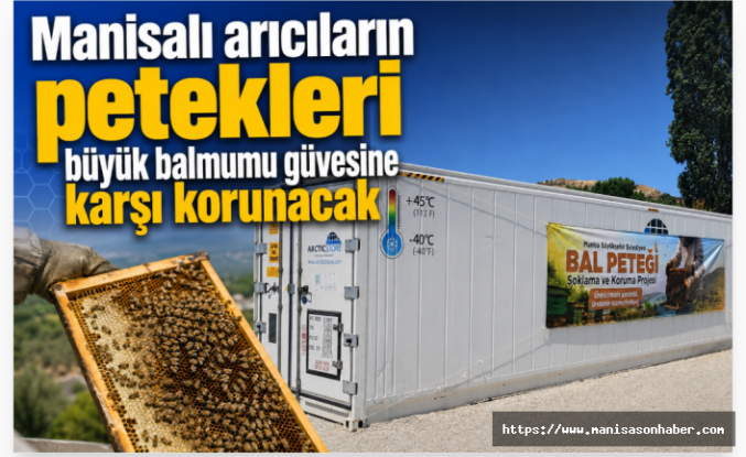 Manisalı arıcıların petekleri büyük balmumu güvesine karşı korunacak