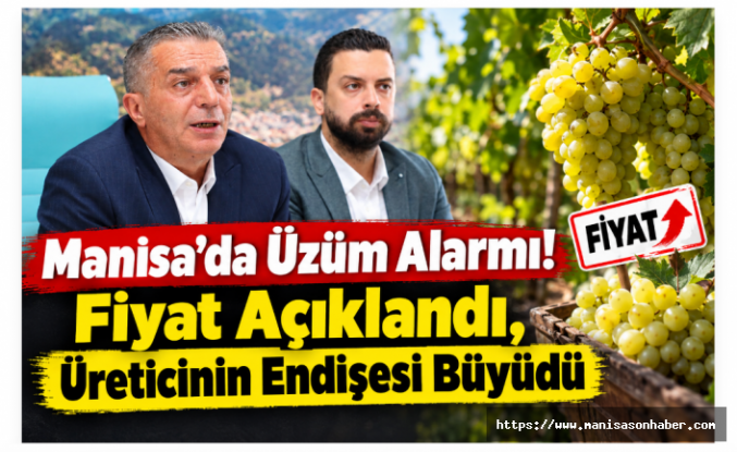Manisa’da Üzüm Alarmı! Fiyat Açıklandı, Üreticinin Endişesi Büyüdü