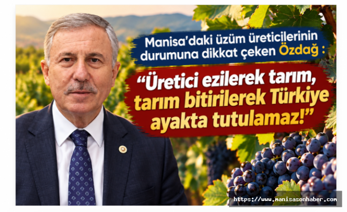Manisa’daki üzüm üreticilerinin durumuna dikkat çeken Özdağ : "Üretici ezilerek tarım, tarım bitirilerek Türkiye ayakta tutulamaz!”