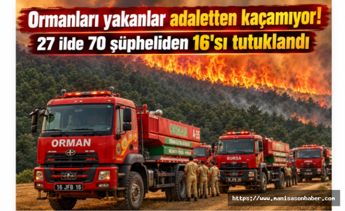 Ormanları yakanlar adaletten kaçamıyor! 27 ilde 70 şüpheliden 16'sı tutuklandı