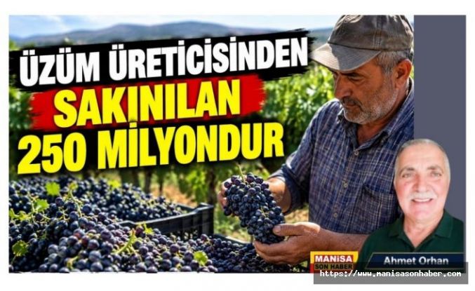 ÜZÜM ÜRETİCİSİNDEN SAKINILAN 250 MİLYONDUR / Ahmet Orhan Yazdı...
