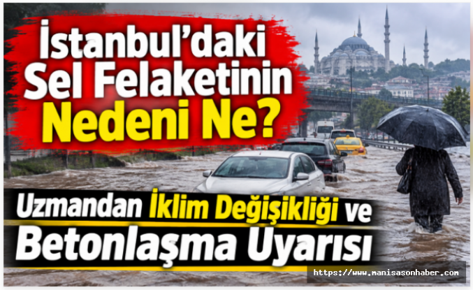 İstanbul’daki Sel Felaketinin Nedeni Ne? Uzmandan İklim Değişikliği ve Betonlaşma Uyarısı