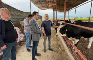CHP'li Başevirgen'e Dert Yanan Besici: "Mazot Borcunu Yatırsın, Kuzusunu Alsın Gitsin"